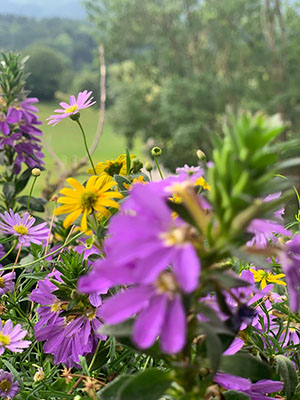 Stacks Image 2178
