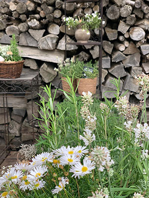 Stacks Image 2139